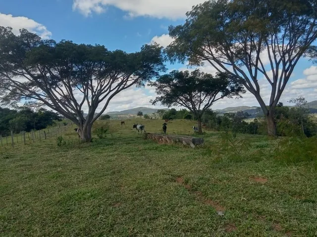 Imagem 12: FAZENDA RURAL em Esmeraldas - Minas Gerais