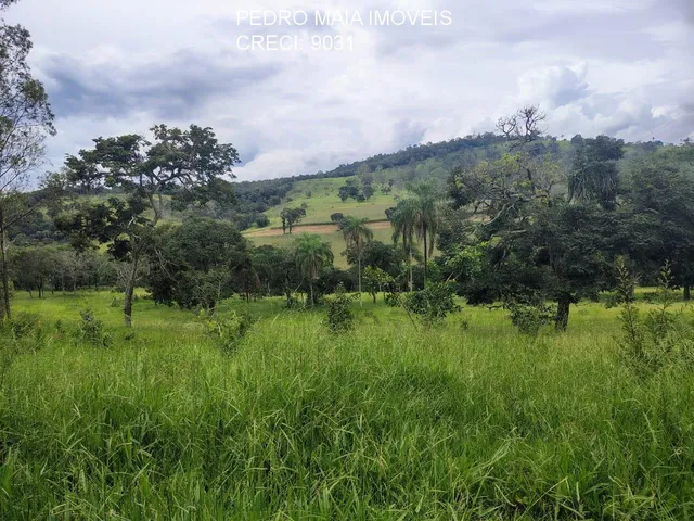 Imagem: FAZENDA RURAL em Itaúna - Minas Gerais