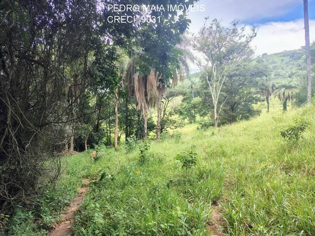 Imagem 5: FAZENDA RURAL em Itaúna - Minas Gerais, Centro
