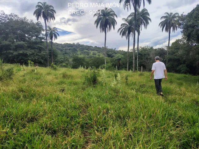 Imagem 14: FAZENDA RURAL em Itaúna - Minas Gerais, Centro