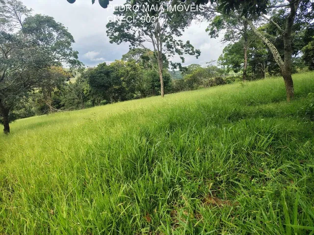 Imagem 11: FAZENDA RURAL em Itaúna - Minas Gerais, Centro