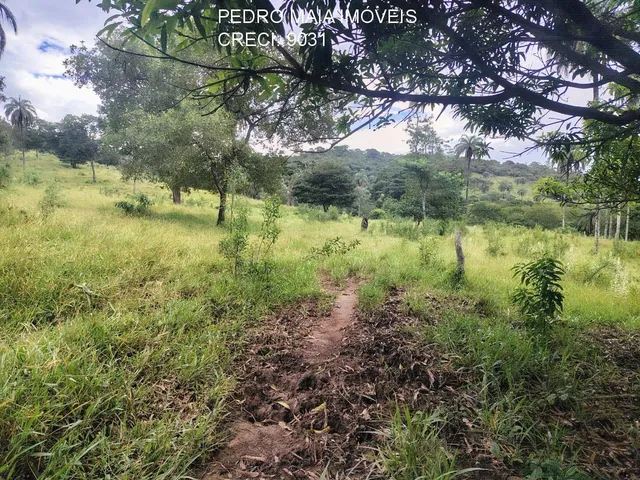 Imagem 8: FAZENDA RURAL em Itaúna - Minas Gerais, Centro