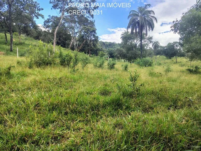 Imagem 7: FAZENDA RURAL em Itaúna - Minas Gerais, Centro