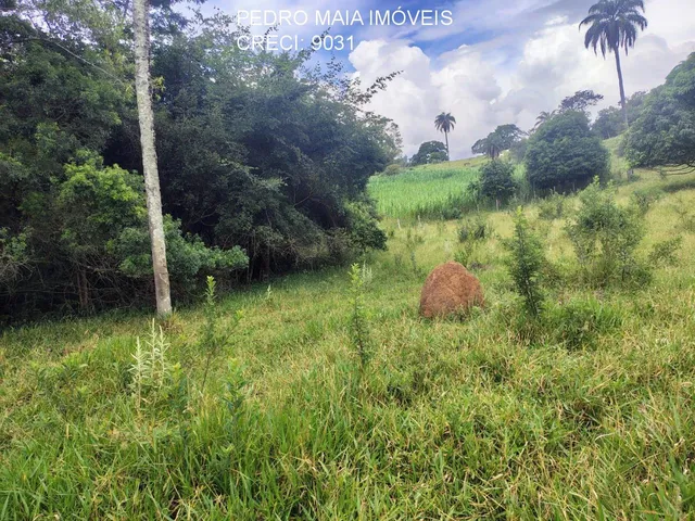 Imagem 6: FAZENDA RURAL em Itaúna - Minas Gerais, Centro