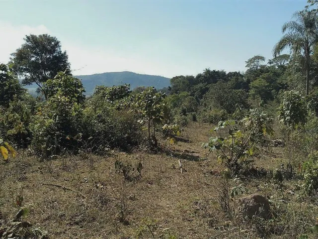 Imagem 3: Fazenda Rural em Mateus Leme - Minas Gerais