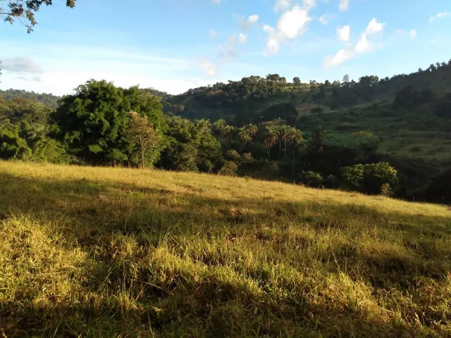 Imagem 12: Fazenda Rural em Mateus Leme - Minas Gerais