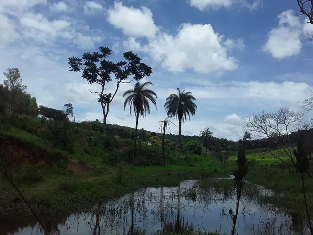 Imagem 16: Fazenda Rural em Mateus Leme - Minas Gerais