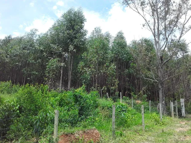 Imagem 6: Fazenda Rural em Mateus Leme - Minas Gerais