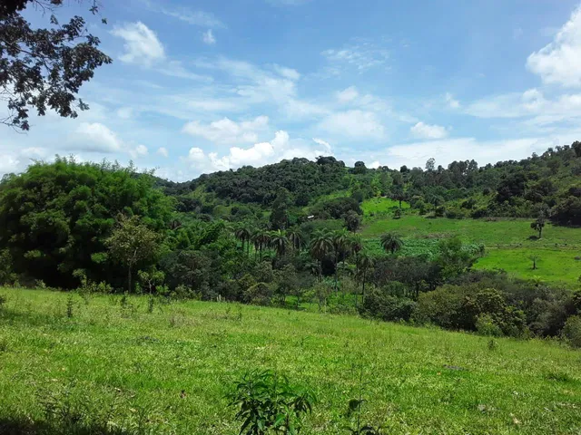 Imagem 7: Fazenda Rural em Mateus Leme - Minas Gerais