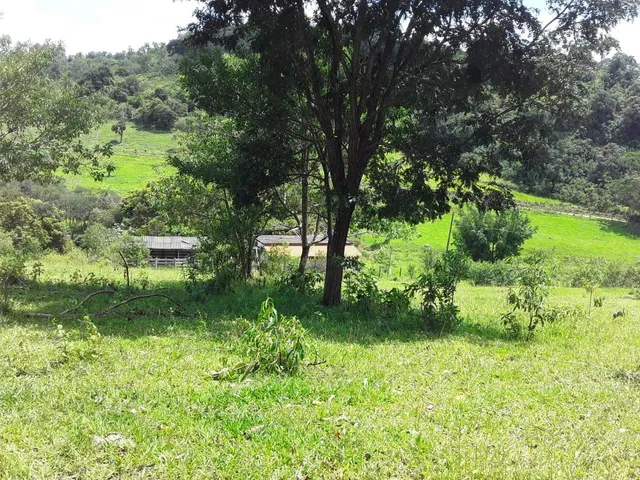 Imagem 14: Fazenda Rural em Mateus Leme - Minas Gerais