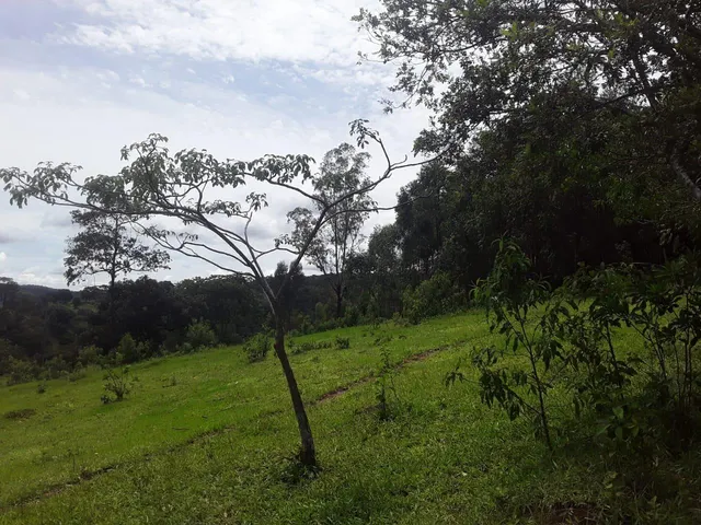 Imagem 15: Fazenda Rural em Mateus Leme - Minas Gerais