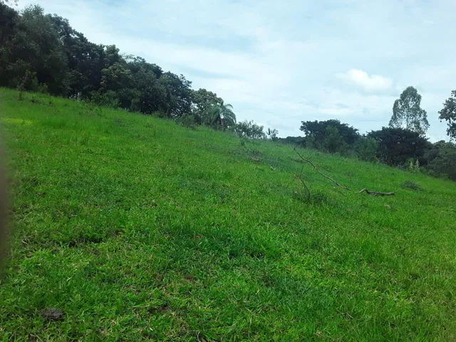 Imagem 8: Fazenda Rural em Mateus Leme - Minas Gerais