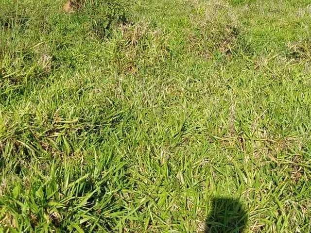 Imagem 8: Fazenda Rural em Itabirito - Minas Gerais, Área Rural de Itabirito