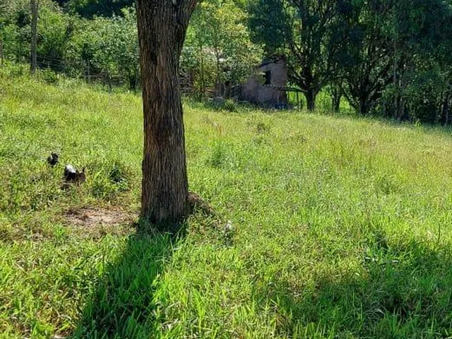 Imagem 7: Fazenda Rural em Itabirito - Minas Gerais, Área Rural de Itabirito