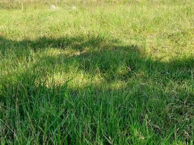 Imagem 5: Fazenda Rural em Itabirito - Minas Gerais, Área Rural de Itabirito