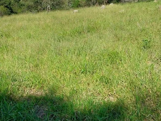Imagem 3: Fazenda Rural em Itabirito - Minas Gerais, Área Rural de Itabirito