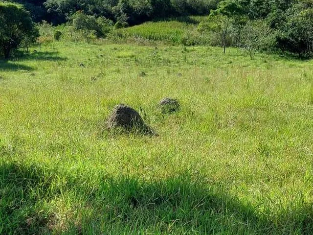 Imagem 15: Fazenda Rural em Itabirito - Minas Gerais, Área Rural de Itabirito