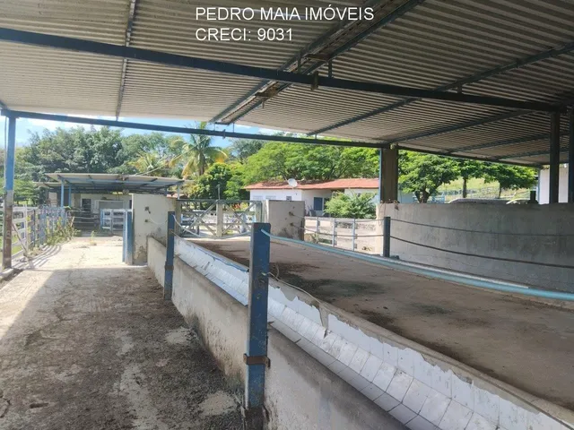Imagem 14: FAZENDA RURAL em Esmeraldas - Minas Gerais, Área Rural de Esmeraldas
