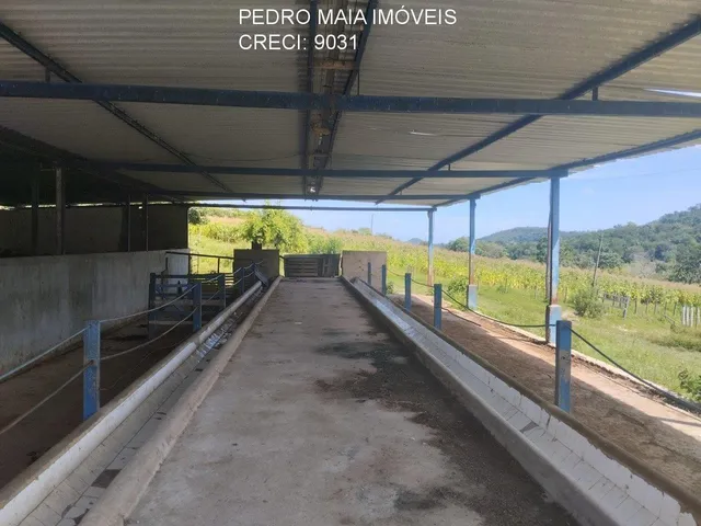 Imagem 12: FAZENDA RURAL em Esmeraldas - Minas Gerais, Área Rural de Esmeraldas