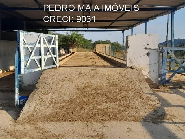 Imagem 13: FAZENDA RURAL em Esmeraldas - Minas Gerais, Área Rural de Esmeraldas