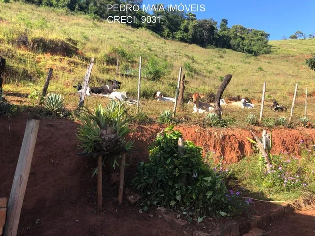 Imagem 6: FAZENDA RURAL em Ipatinga - Minas Gerais, Área Rural de Ipatinga