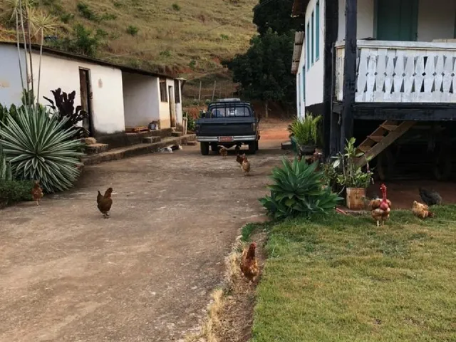 Imagem 3: FAZENDA RURAL em Ipatinga - Minas Gerais, Área Rural de Ipatinga