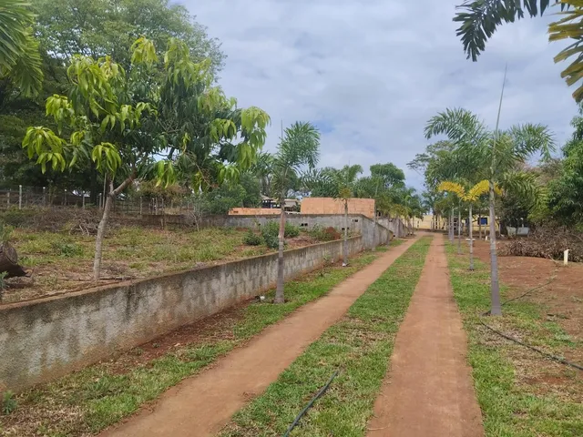 Imagem 4: Farm em Contagem - Minas Gerais, Capim Rasteiro (Chácaras Campo Alegre