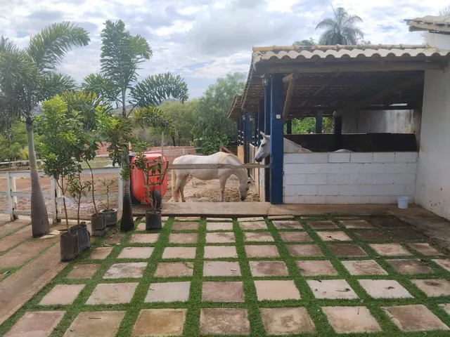 Imagem 14: Farm em Contagem - Minas Gerais, Capim Rasteiro (Chácaras Campo Alegre