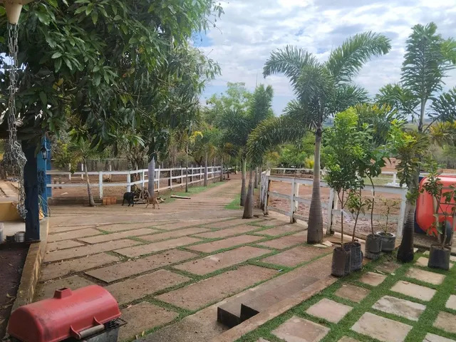 Imagem 9: Farm em Contagem - Minas Gerais, Capim Rasteiro (Chácaras Campo Alegre