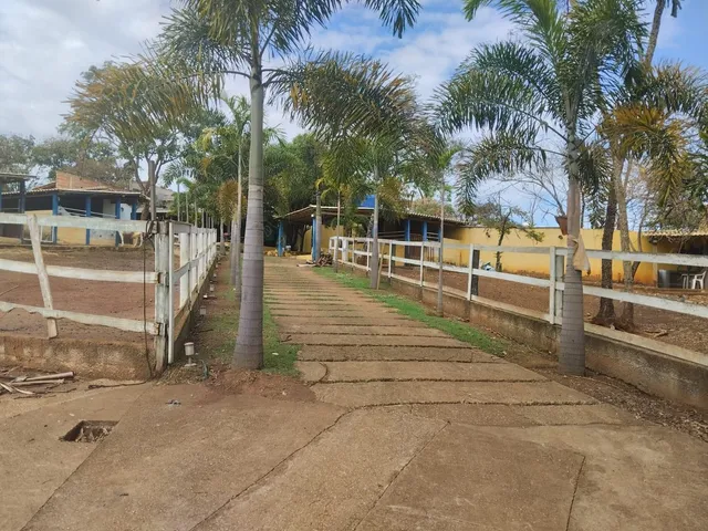 Imagem 10: Farm em Contagem - Minas Gerais, Capim Rasteiro (Chácaras Campo Alegre