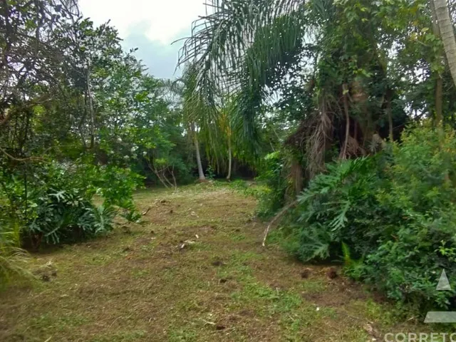 Imagem: Terreno a venda em praia do campeche