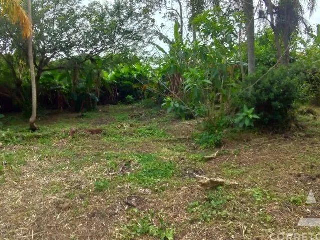 Imagem 3: Terreno a venda em praia do campeche