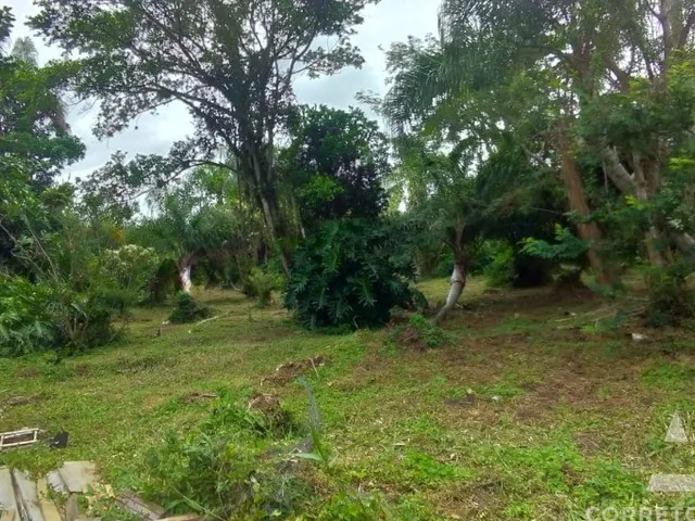 Imagem 9: Terreno a venda em praia do campeche