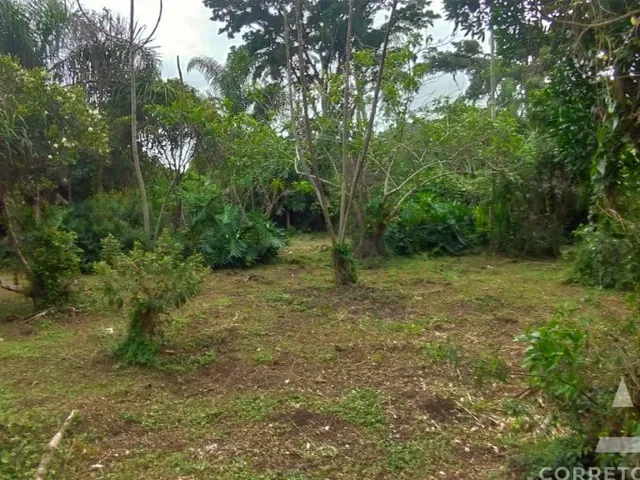 Imagem 2: Terreno a venda em praia do campeche
