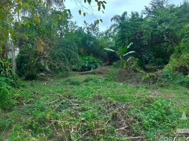 Imagem 5: Terreno a venda em praia do campeche
