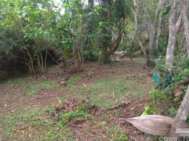 Imagem 7: Terreno a venda em praia do campeche