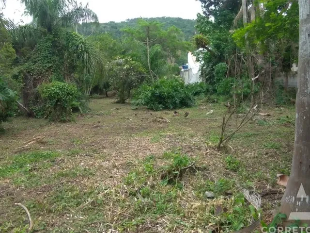Imagem 6: Terreno a venda em praia do campeche