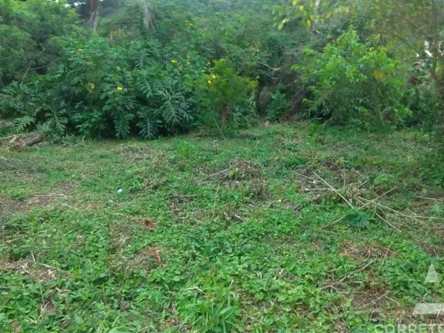 Imagem 8: Terreno a venda em praia do campeche