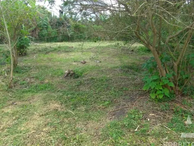 Imagem 4: Terreno a venda em praia do campeche