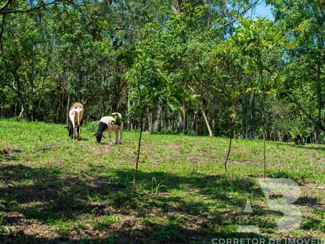 Imagem 2: Terreno / lote com venda por R$1.126.064