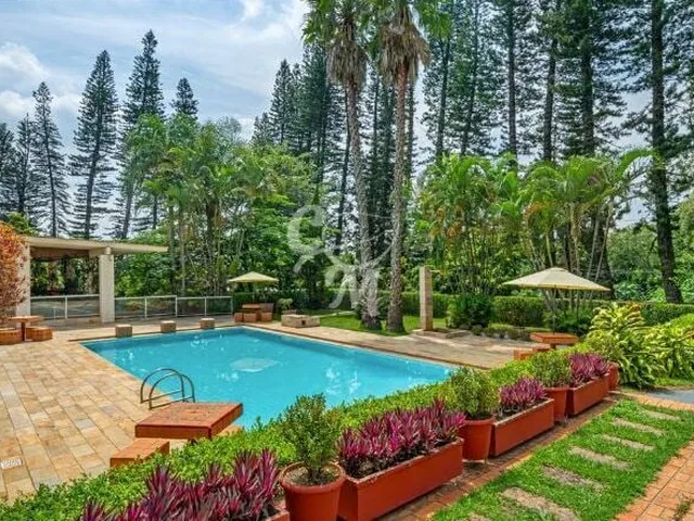 Imagem 10: Casa Ampla com 4.800 M², Piscina e Muito Verde