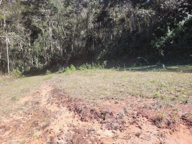 Imagem 3: Farm em Teresópolis - Rio de Janeiro, Serrinha
