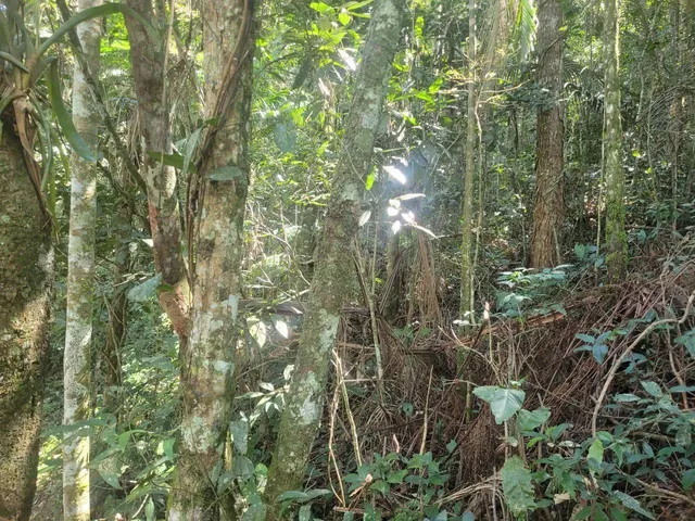 Imagem 15: Farm em Teresópolis - Rio de Janeiro, Serrinha