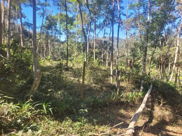 Imagem 2: Farm em Teresópolis - Rio de Janeiro, Serrinha