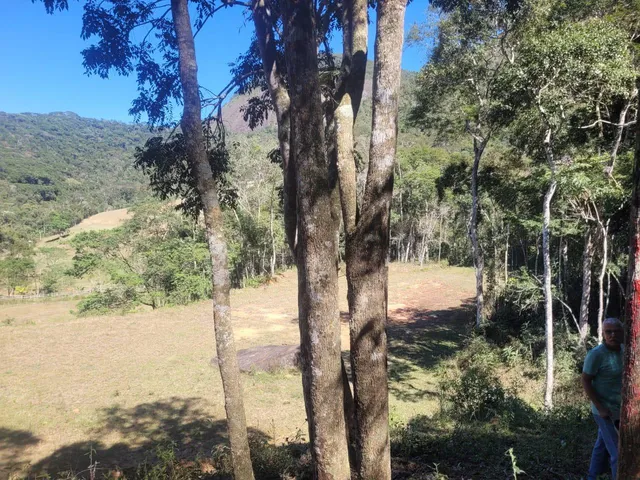 Imagem 6: Farm em Teresópolis - Rio de Janeiro, Serrinha