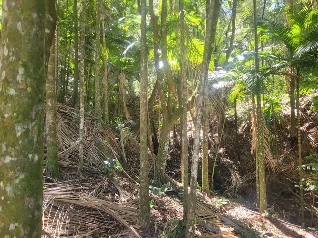 Imagem 8: Farm em Teresópolis - Rio de Janeiro, Serrinha