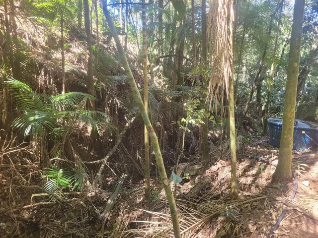 Imagem 5: Farm em Teresópolis - Rio de Janeiro, Serrinha