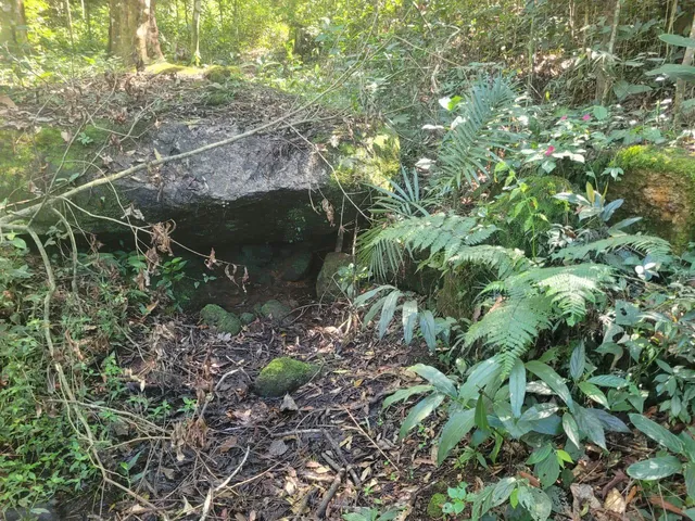 Imagem 13: Farm em Teresópolis - Rio de Janeiro, Serrinha