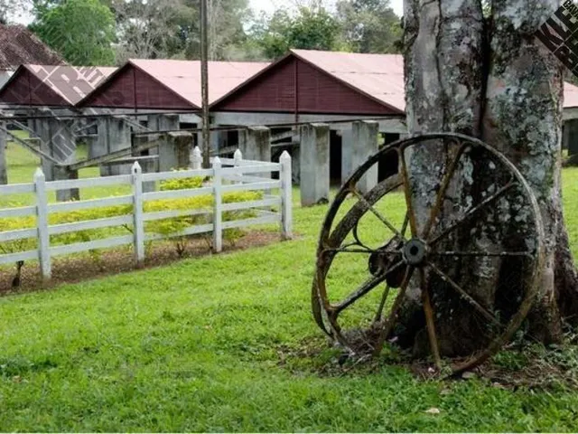 Imagem 15: FAZENDA RURAL em Ilhéus - Bahia, Ilhéus II