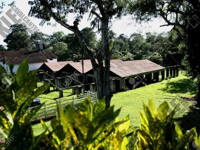 Imagem 10: FAZENDA RURAL em Ilhéus - Bahia, Ilhéus II